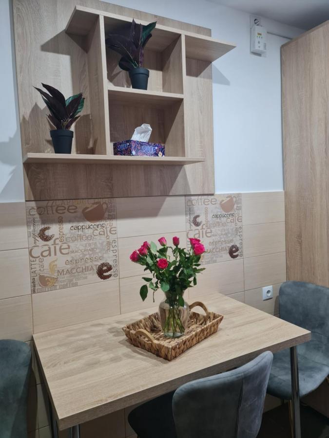 Apartament Modern Cristina&Jessica Mediaş Extérieur photo