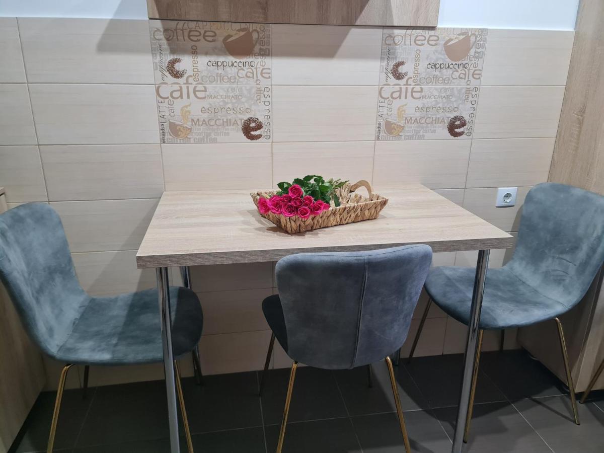 Apartament Modern Cristina&Jessica Mediaş Extérieur photo