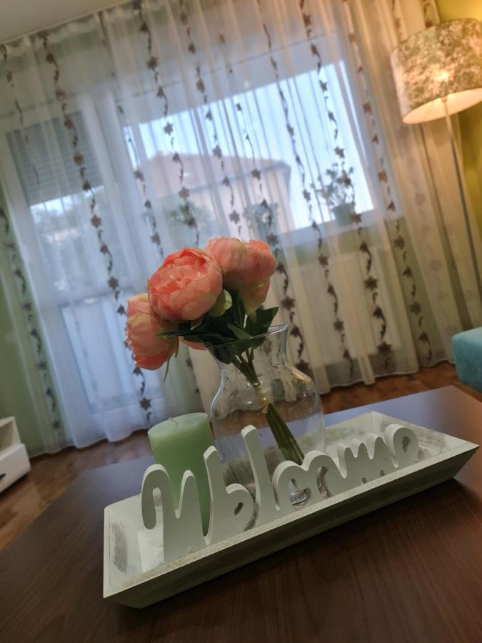 Apartament Modern Cristina&Jessica Mediaş Extérieur photo