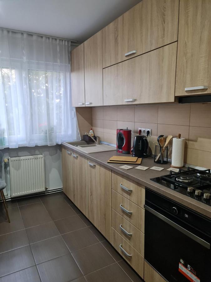 Apartament Modern Cristina&Jessica Mediaş Extérieur photo