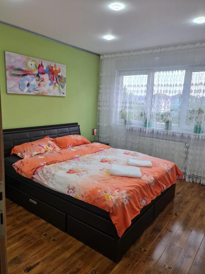Apartament Modern Cristina&Jessica Mediaş Extérieur photo