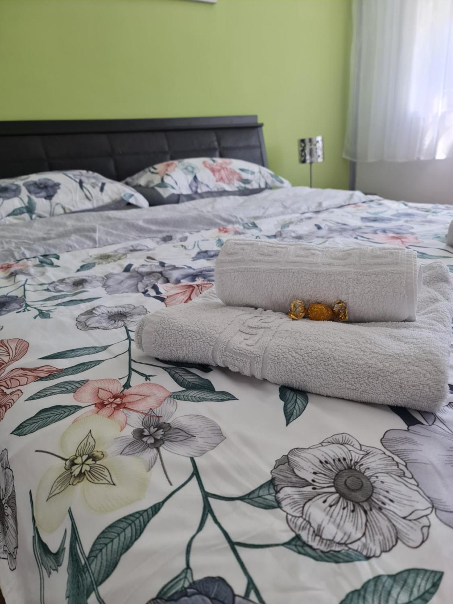 Apartament Modern Cristina&Jessica Mediaş Extérieur photo